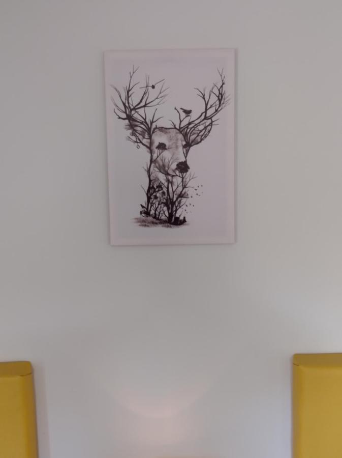 Bed and Breakfast Glenn Eireann House Cushendall Exteriér fotografie